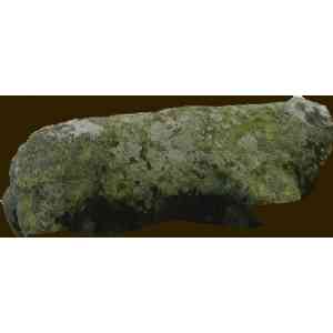 Click para ampliar. Pulsa en el nombre para ver la ficha. Verraco Vicedo modificado digitalmente